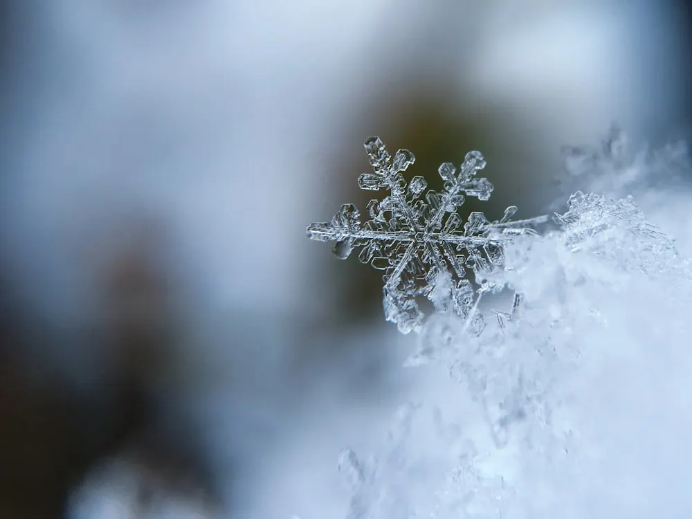 Snowflake course at Intellea